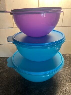Set of 3 Tupperware Bowls. Stackable Purple and Blue Mixing Bowls Butterfly Lids